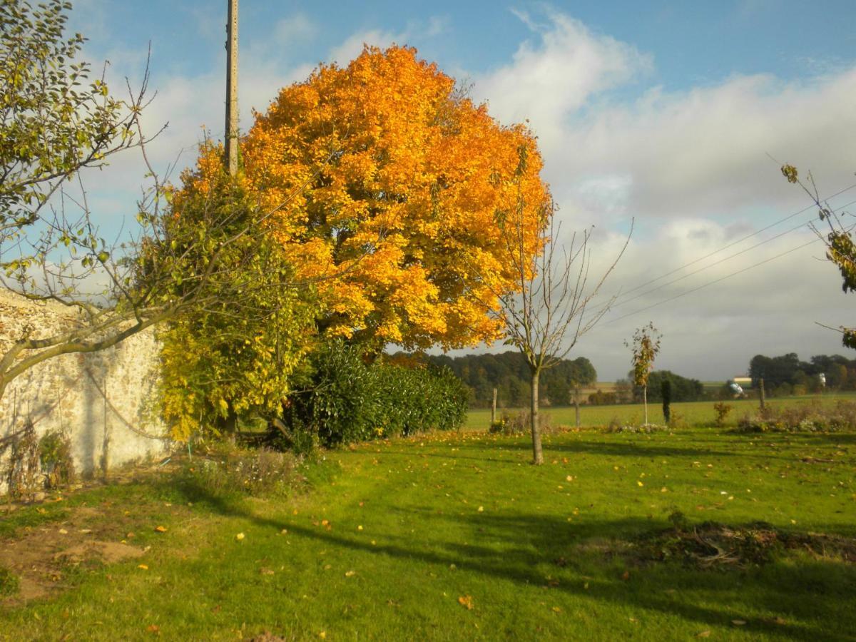 La Ferme Le Merger Bed & Breakfast La Ferté-Gaucher Dış mekan fotoğraf